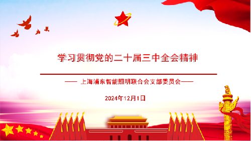上海浦东智能照明联合会支部委员会开展“学习贯彻党的二十届三中全会精神”主题党日活动