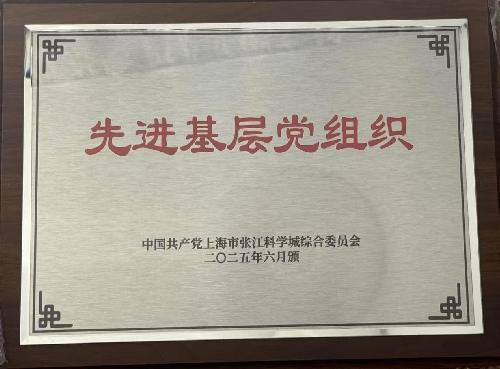 48-中国共产党上海浦东智能照明联合会支部委员会荣获 2025 先进基层党组织称号