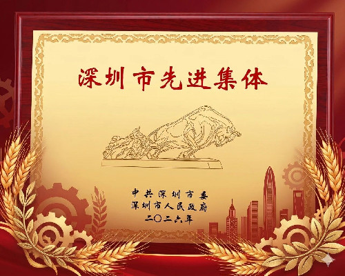 荣耀时刻 | 洲明科技荣获“深圳市先进集体”称号