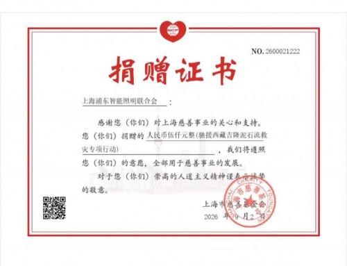 55-上海浦东智能照明联合会驰援西藏吉隆泥石流救灾