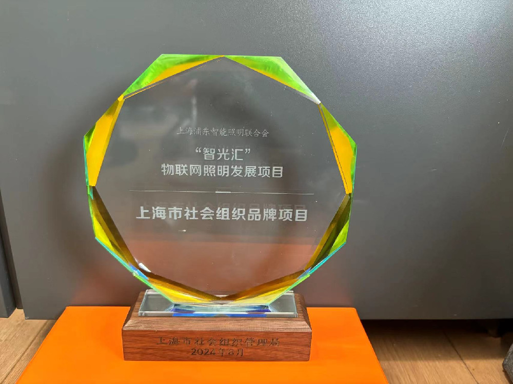39-2024年8月“智光汇”项目荣获上海市社会组织品牌项目.jpg